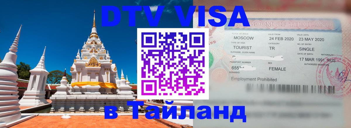 Оформление DTV визы под ключ: стоимость и тарифы, только загранпаспорт - Люберцы 